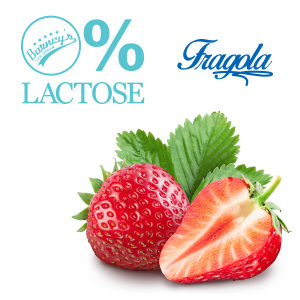 Novidade do Barney's Ice Dream: gelatos com 0% de lactose (Divulgação)