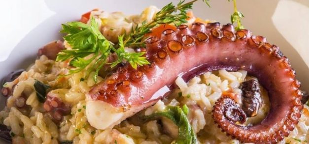La Pasta Gialla oferece festival com menu promocional de jantar completo